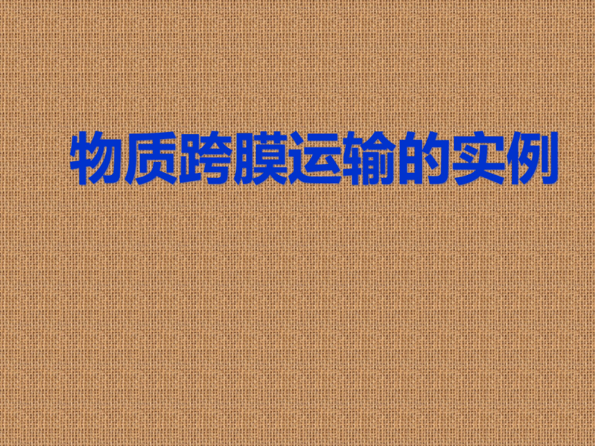 2021-2022学年高一上学期生物人教版必修1-4.1物质跨膜运输的实例课件 （20张ppt）