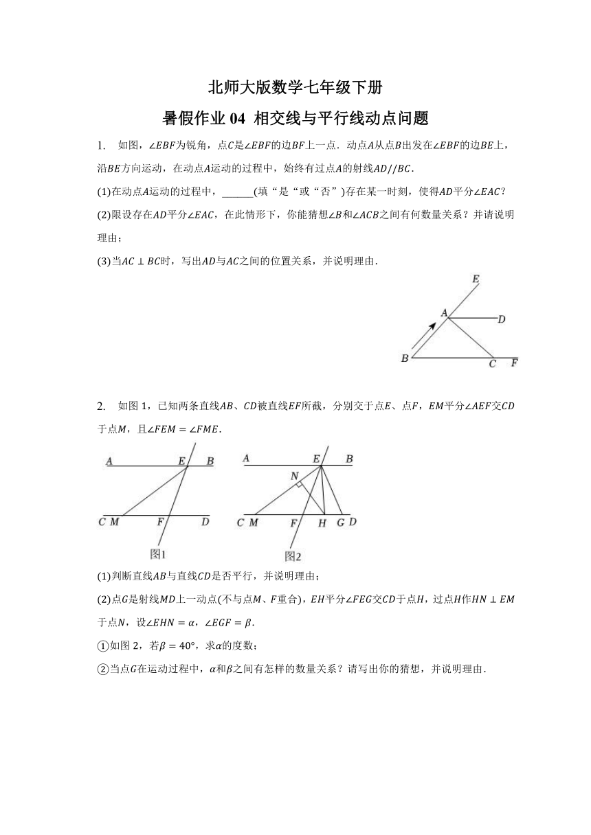 北师大版数学七年级下册暑假作业04 相交线与平行线动点问题 （无答案）