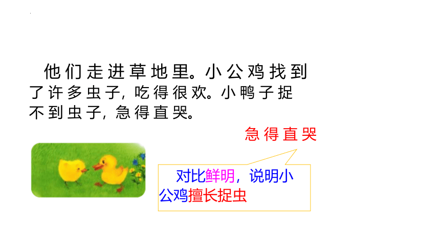 4小公鸡和小鸭子 课件(共20张PPT)