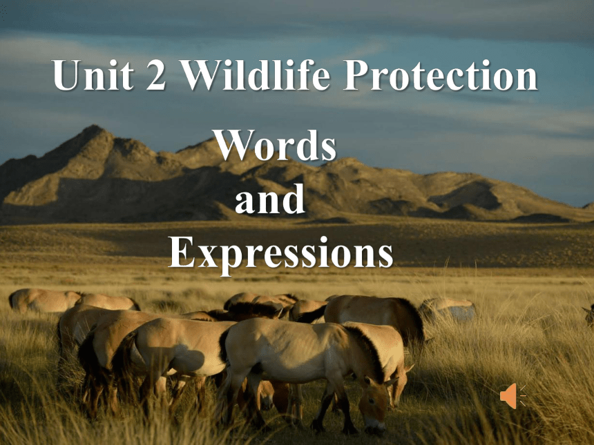 人教版（2019）必修第二册  Unit 2 Wildlife Protection Words and expressions 课件（33张ppt）