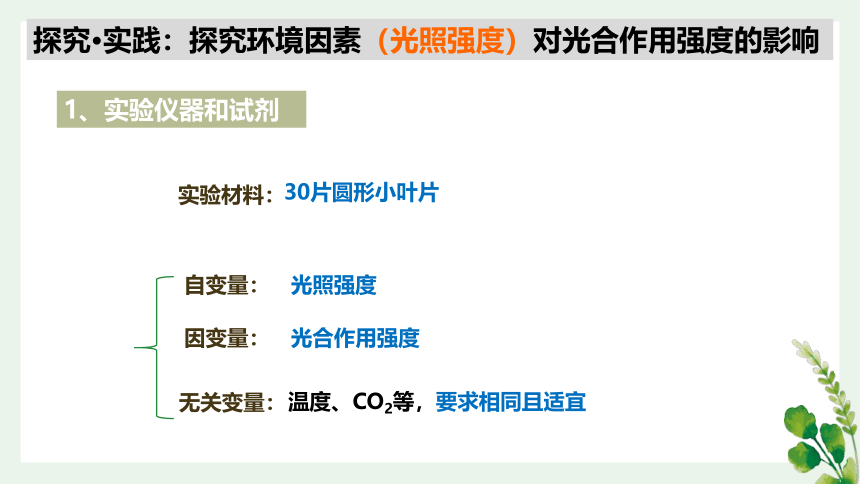 5.4光合作用与能量转化 第三课时（加强课）课件(共27张PPT)2022-2023学年高一上学期生物人教版（2019）必修1