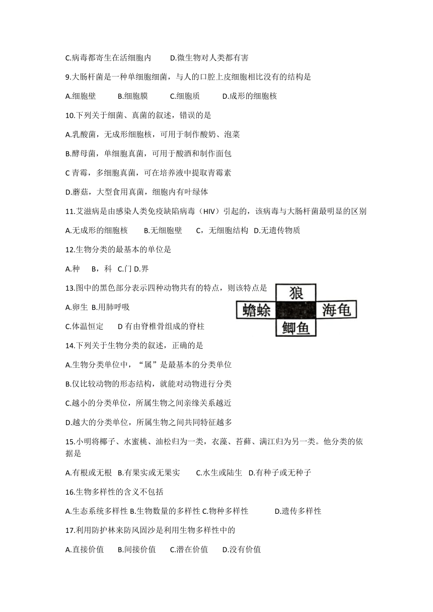 广东省肇庆市高要区河台镇初级中学2022-2023学年八年级上学期期中考试生物试题（无答案）