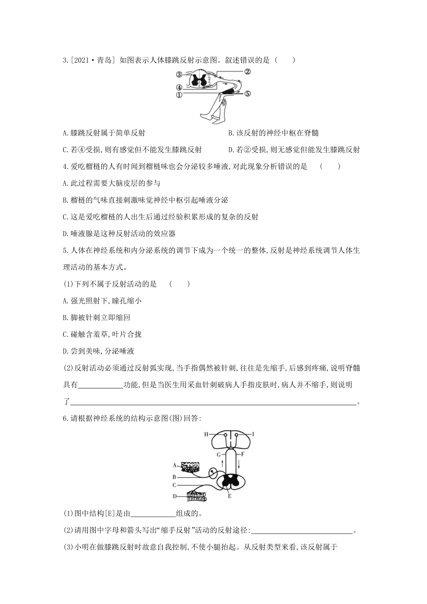 浙教版科学八年级上册同步提优训练：3.3  神经调节 第2课时（含解析）