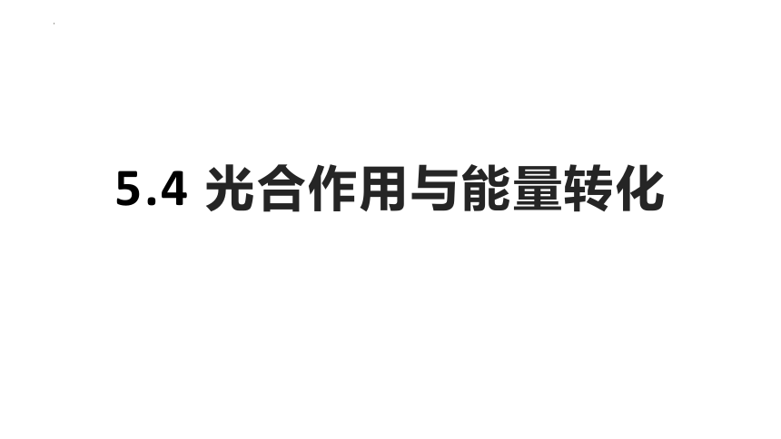 5.4光合作用与能量转化课件(共35张PPT有1份视频)2022—2023学年高一上学期生物人教版必修1