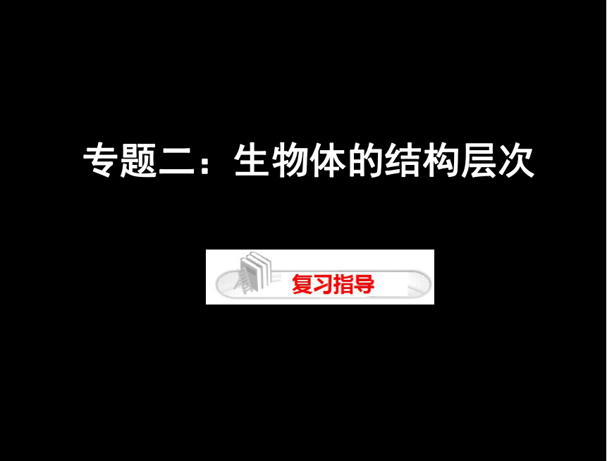 2019专题2：生物的结构层次课件(共13张PPT)