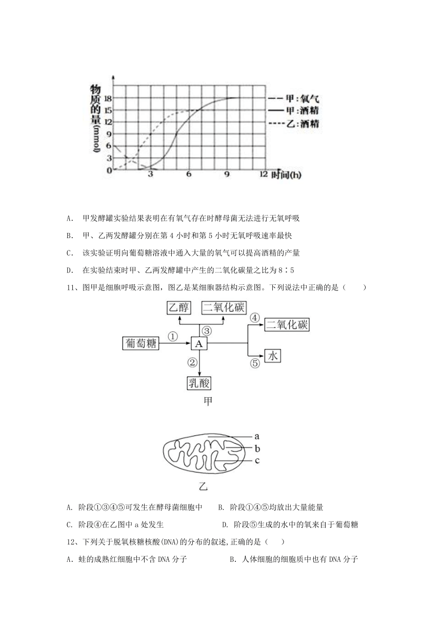 河北省衡水市武强县2020-2021学年高二下学期期中考试生物试题（Word版含答案）