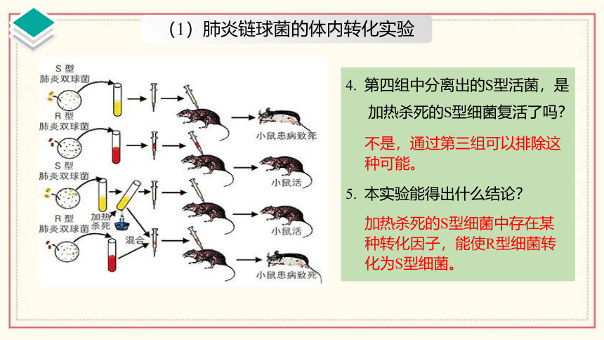 3.1 核酸是遗传物质（共39张PPT、含1份视频）高中生物 浙科版 必修二