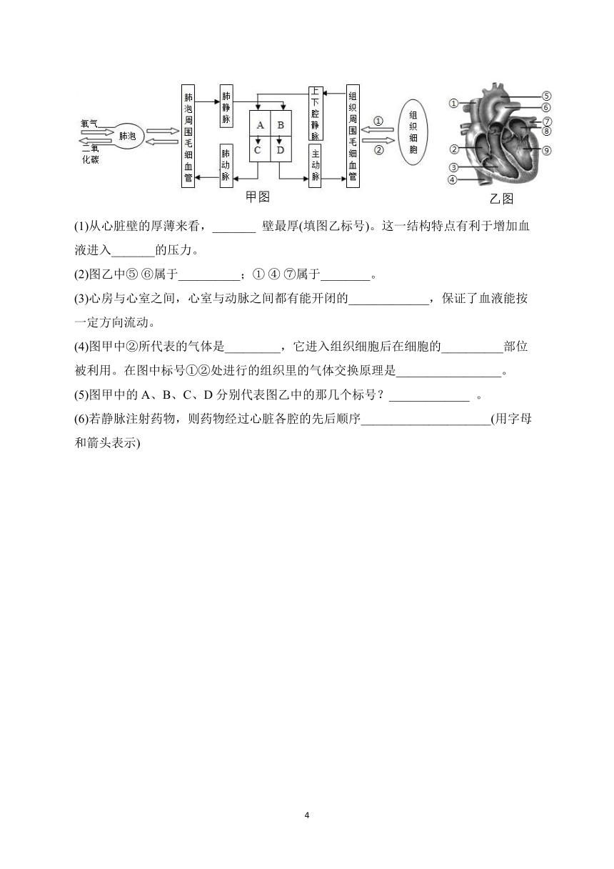 2023届中考生物高频考点专项练习：专题十 血液和心脏 综合练习（A卷）（含解析）