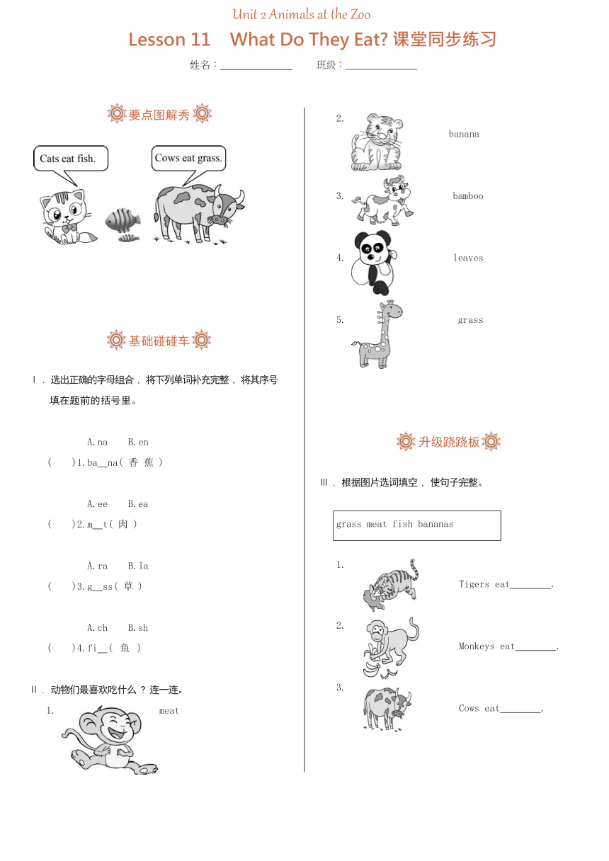 Unit 2 Lesson 11 What Do They Eat练习（含答案）
