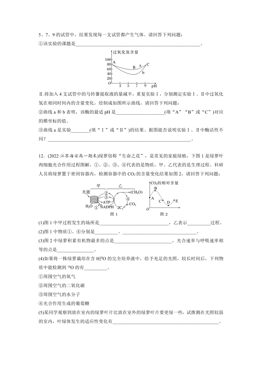 2022-2023学年苏教版2019高中生物必修1 第三章　细胞中能量的转换和利用  重点突破练(三)（word版含解析）