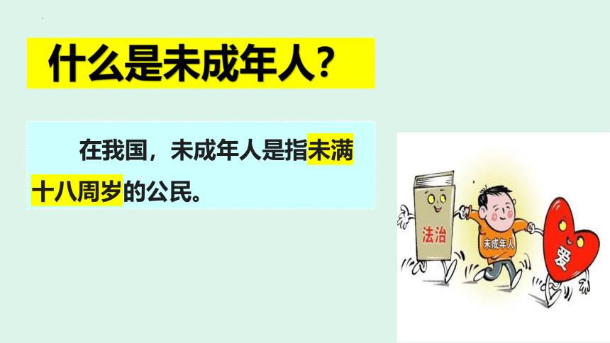 10.1法律为我们护航  课件(共27张PPT)