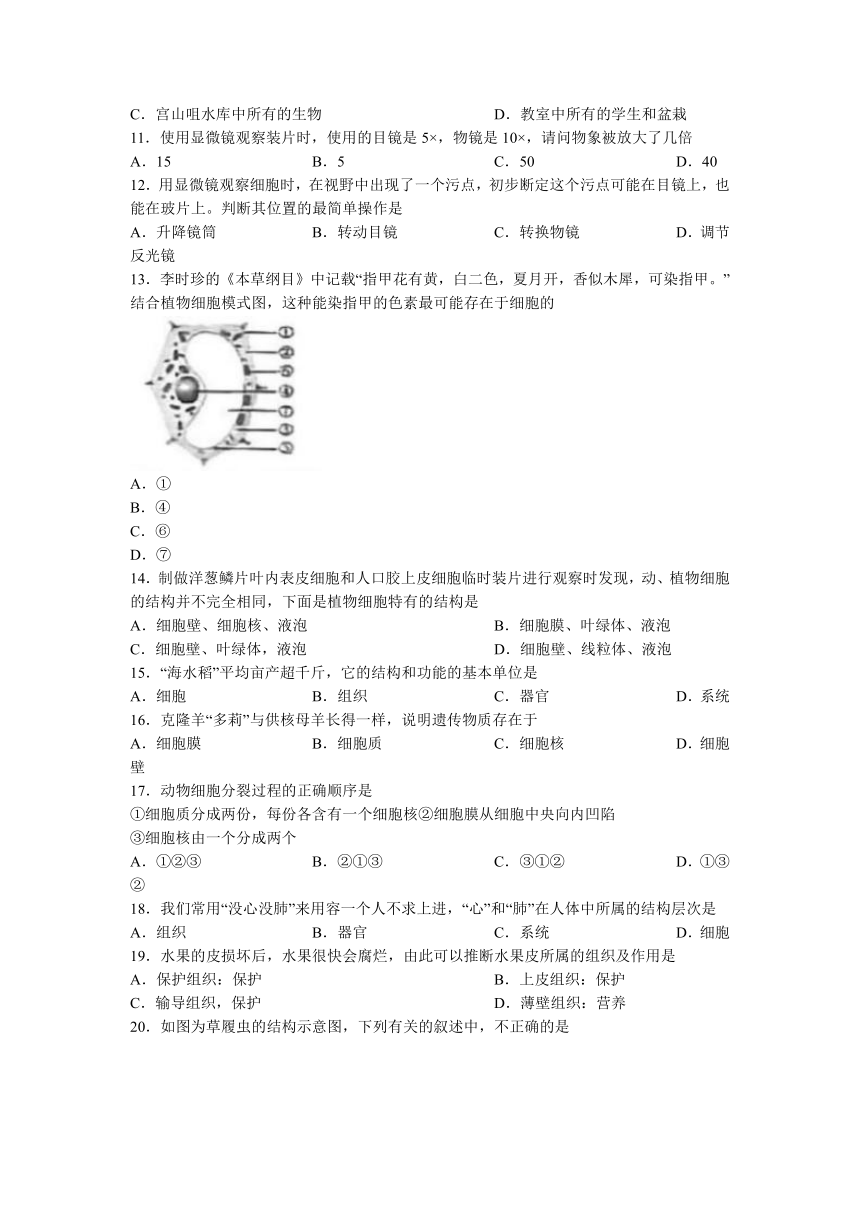 辽宁省葫芦岛市建昌县2022-2023学年七年级上学期期中生物试题 (含答案)