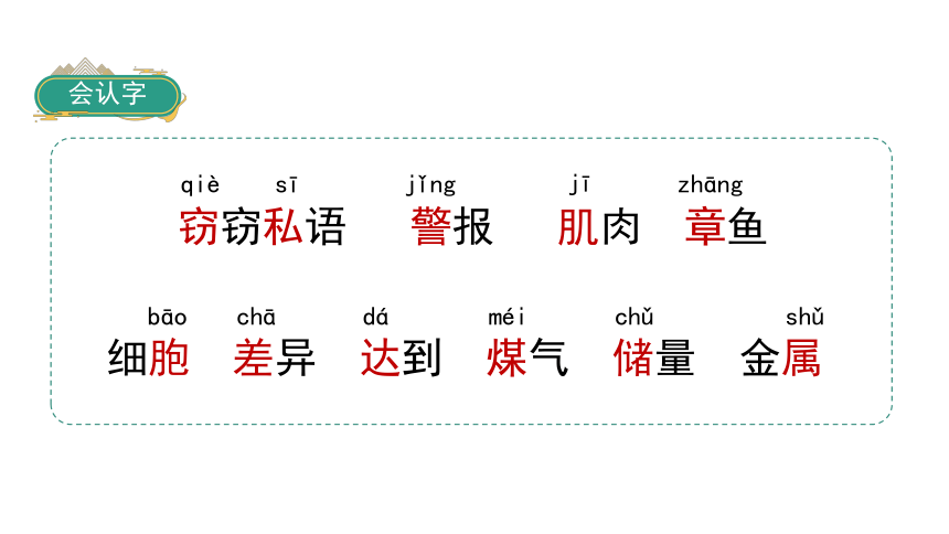 23 海底世界   课件（58张PPT)