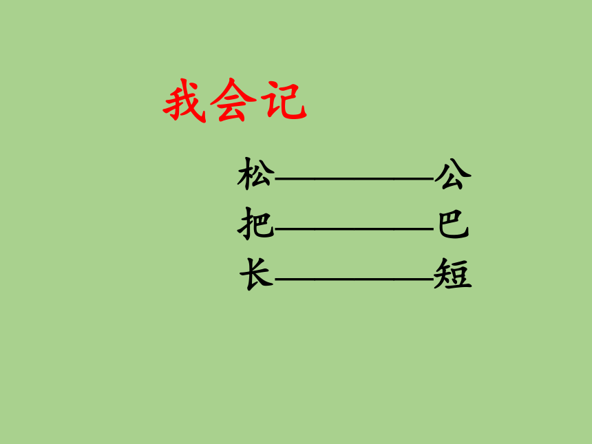 6.比尾巴 课件(共21张PPT)