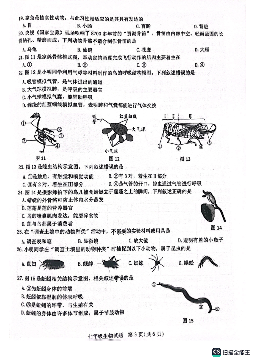 江苏省徐州市2022-2023学年七年级下学期生物期末测试试题（PDF版无答案）