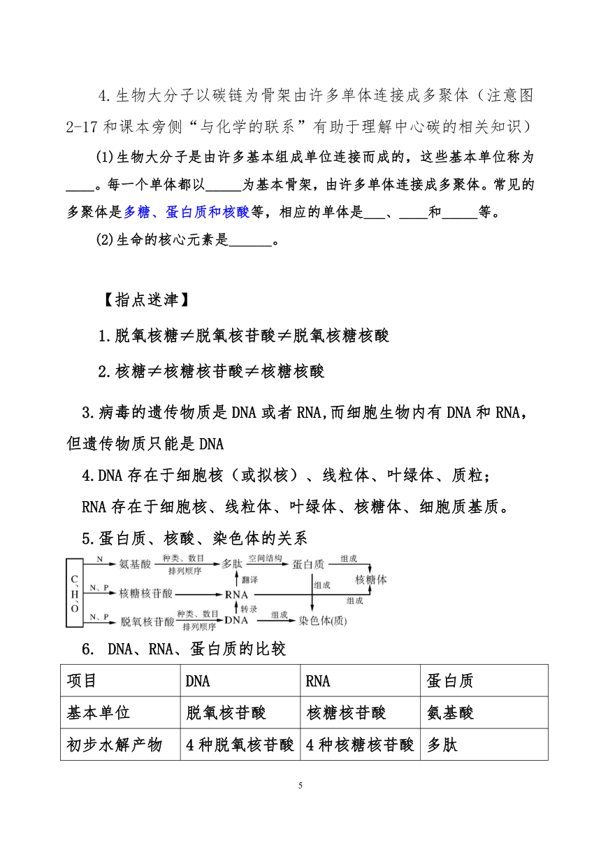 2021-2022学年人教版（2019）高中生物必修1  2.5核酸是遗传信息的携带者（教案）