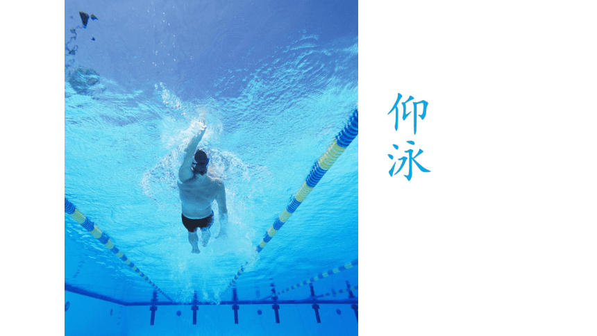 人教版七年级体育 9.2蛙泳蹬腿 课件（20ppt）