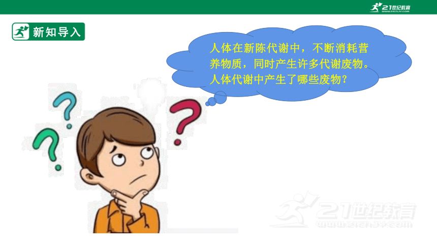 4.11.1 人体产生的代谢废物-2022-2023学年七年级生物下册同步课件（北师大版）(共26张PPT)