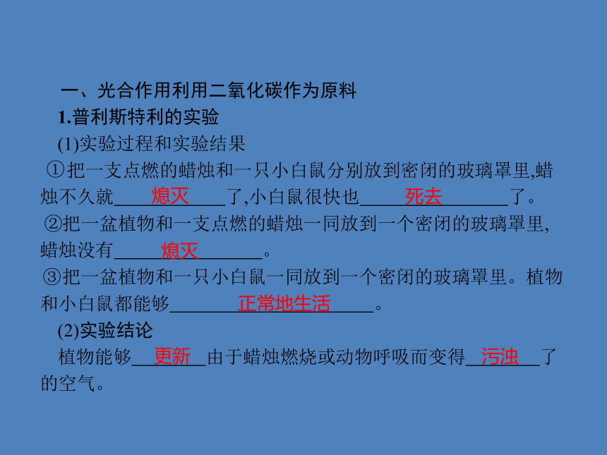 七年级上册生物 第3单元第5章　第1节　光合作用吸收二氧化碳释放氧气 习题课件(共13张PPT)