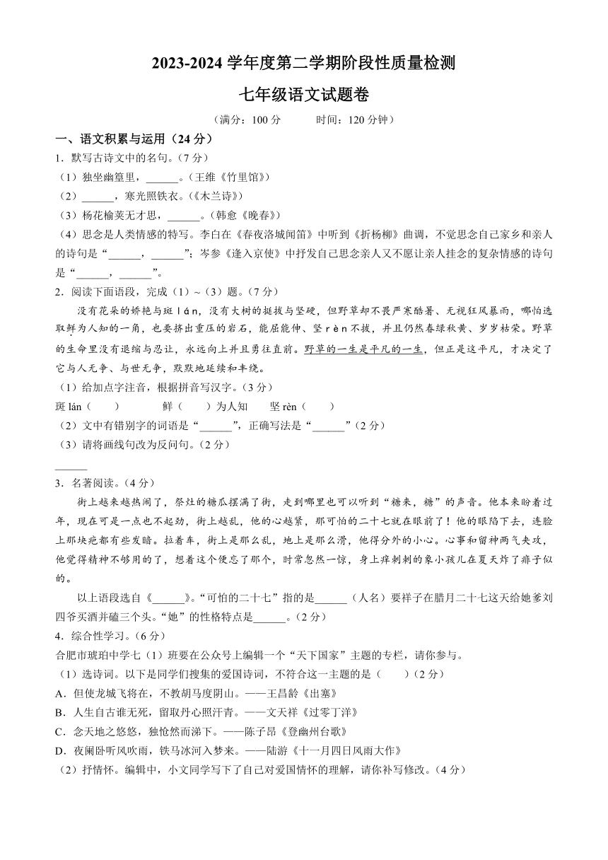 安徽省合肥市2023-2024学年七年级下学期期中语文试题（含答案）