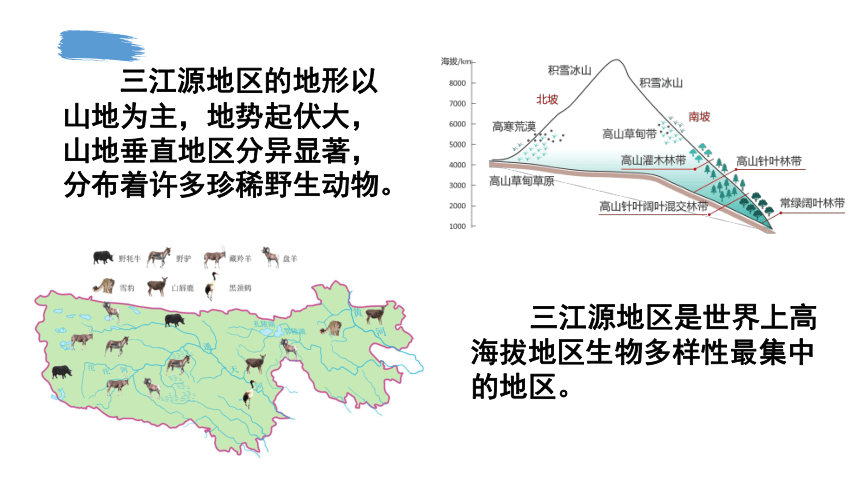 9.2 高原湿地——三江源地区第2课时课件（23张PPT)