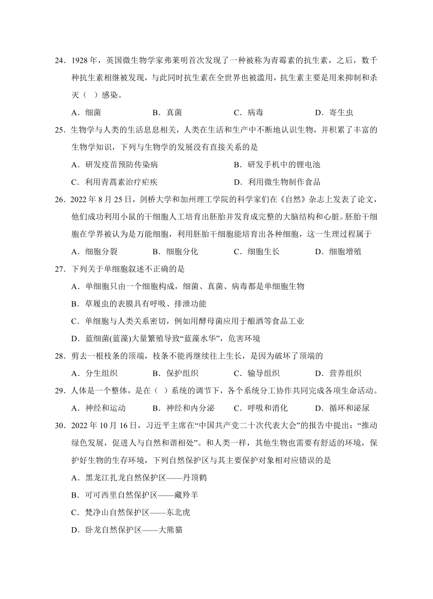 湖南省永州市道县2022-2023学年七年级上学期期中考试生物试题(含答案)