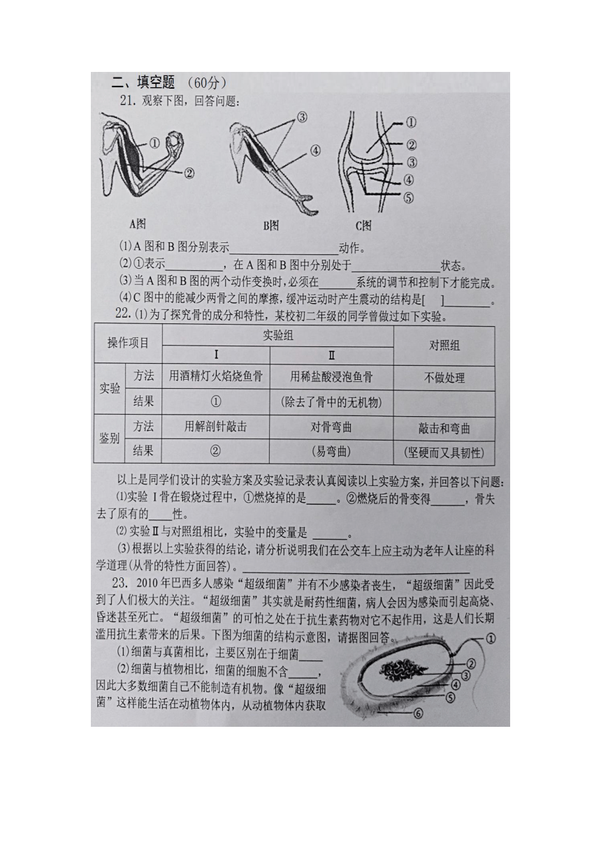 湖北省恩施龙凤初中2021-2022学年上学期八年级第一阶段检测生物试题（含答案）