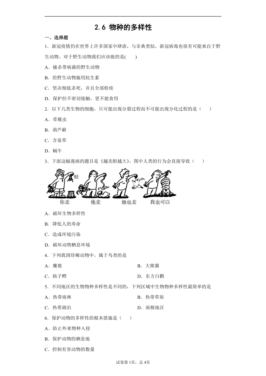 2.6 物种的多样性 同步练习（含解析）