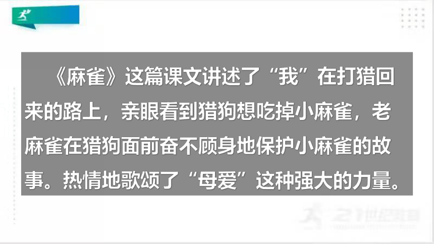 统编版语文四年级上册：第五单元习作例文我家的杏熟了vs小木船  课件（共25张PPT）