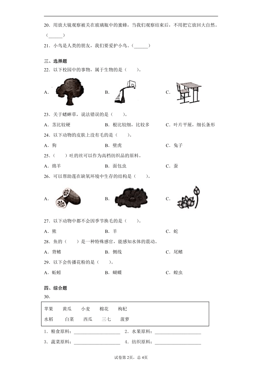 冀人版（2017秋）2020-2021学年河北省邢台市三年级下册科学期中考试试卷（ 含答案解析）