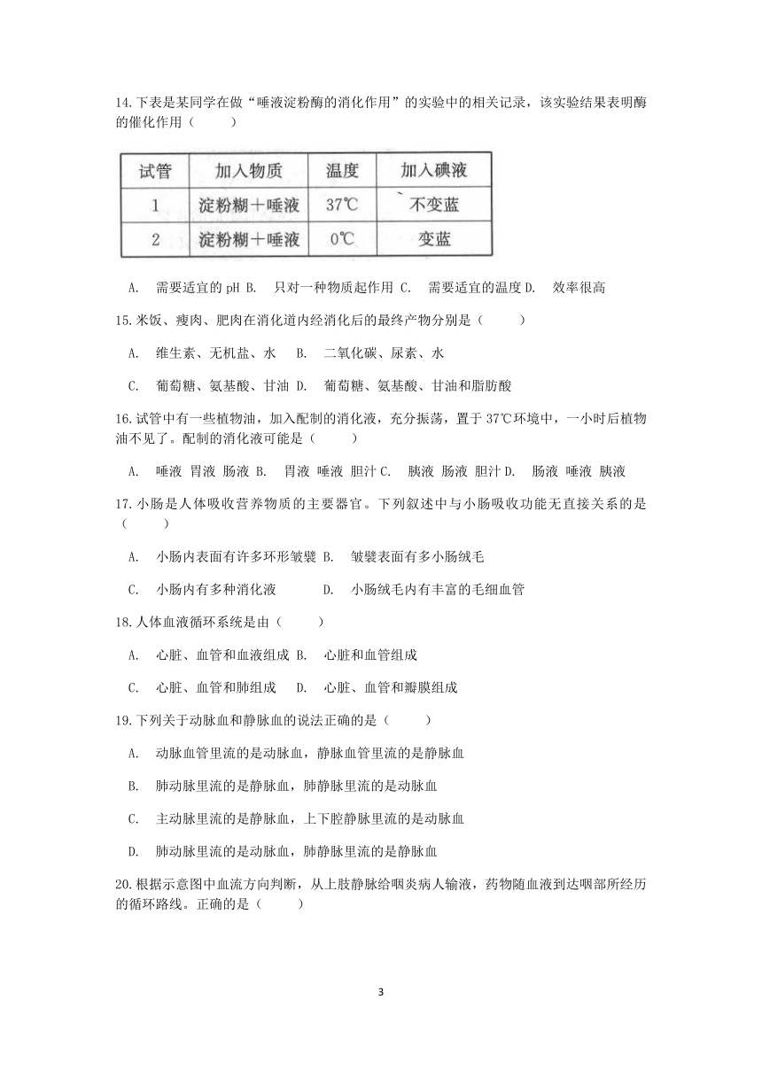 【单元检测】2022-2023学年上学期浙教版九年级科学卷（十三）第四章  代谢与平衡(综合A)【word，含答案】