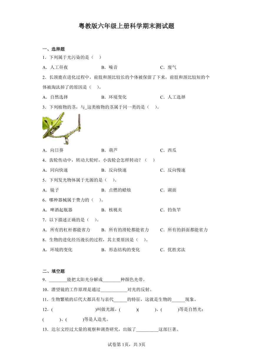 粤教版六年级上册科学期末测试题（含答案）