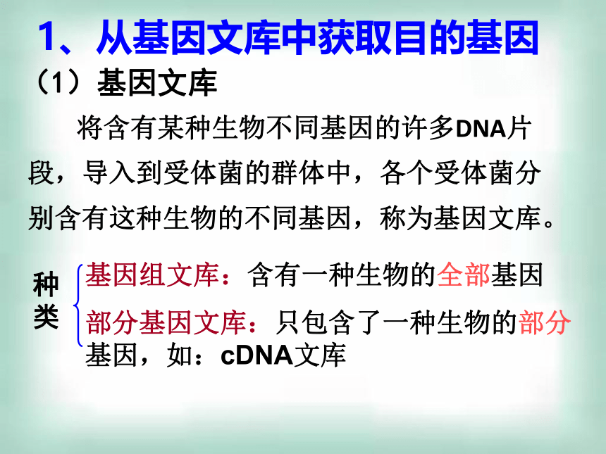 2020-2021学年高二下学期生物人教版选修三1.2基因工程的基本操作程序课件（32张ppt）