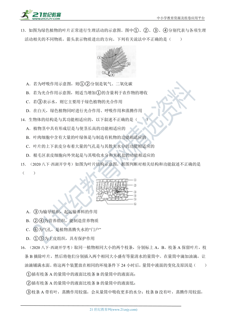 【同步拔高训练】浙教版8年级下册 第四章 第5节 植物的叶与蒸腾作用（含答案）