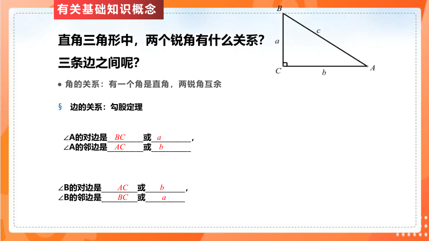 1.1锐角三角函数   课件（共24张PPT）