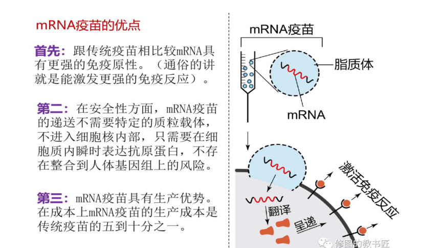 2021届高考冲刺专题复习疫苗专题课件（33张PPT）