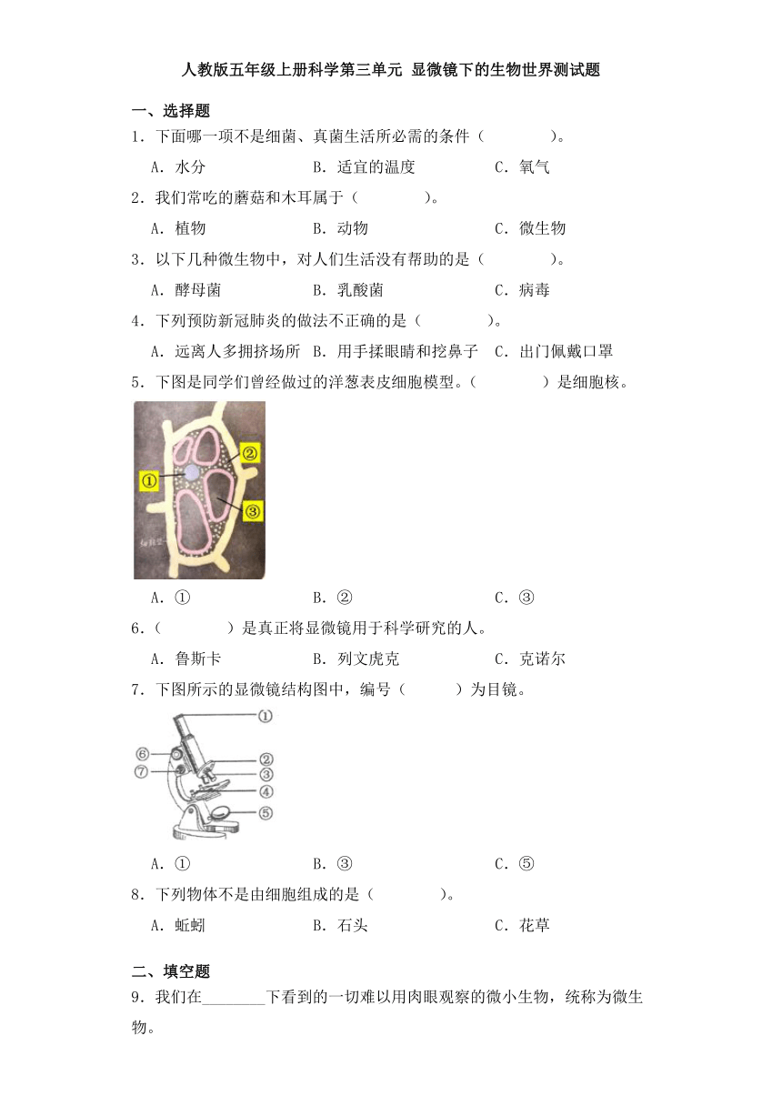 人教鄂教版五年级上册科学第三单元显微镜下的生物世界测试题（含答案）