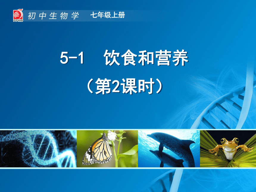 3-5-1饮食与营养（第2课时）课件(共23张PPT)2022-2023学年苏科版生物七年级上册