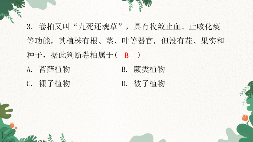 人教版生物七年级上册 第三单元生物圈中的绿色植物水平测试卷习题课件(共44张PPT)