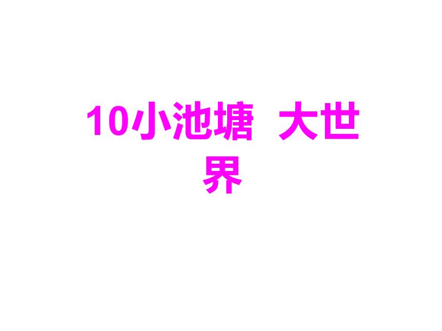 冀教版（2001）六年级科学下册3.10小池塘 大世界（课件9张ppt）