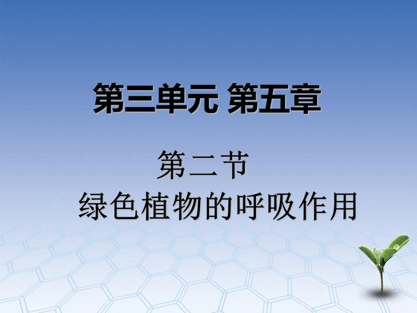 3.5.2绿色植物的呼吸作用课件(共34张PPT+动画1个)2023-2024学年人教版生物七年级上册