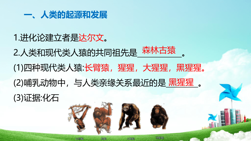 第1章 人的由来 2022-2023学年七年级生物下册单元复习课件（人教版）(共20张PPT)