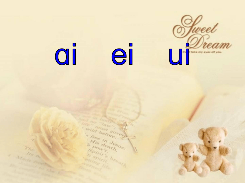 汉语拼音9《ai ei ui》课件(共36张PPT)