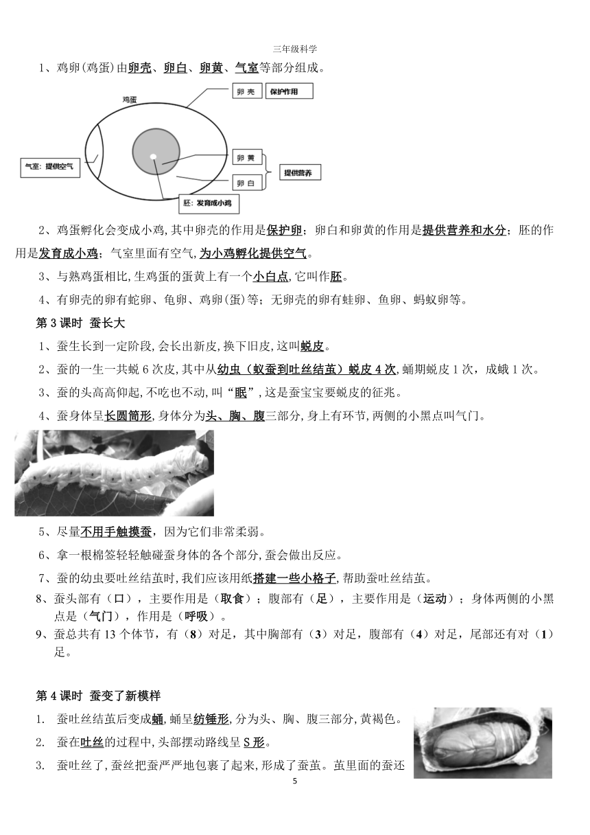 教科版（2017秋）科学三年级下册复习资料