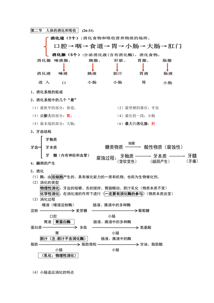 2022-2023学年苏教版生物七年级下册期末复习知识点梳理