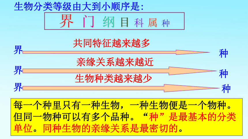 6.1.2从种到界课件 课件(共31张PPT)2021-2022学年人教版八年级上册