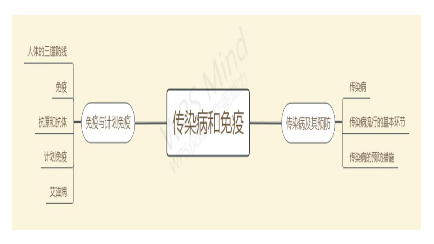 2020-2021学年人教版八年级生物下册  8.1 传染病和免疫 复习课件 (共26张PPT)