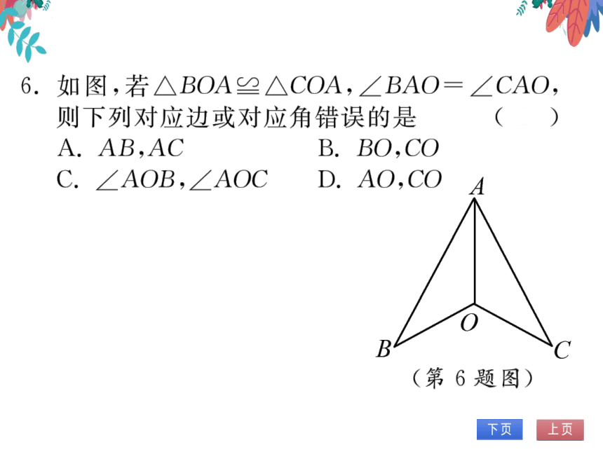 【沪科版】数学八年级上册 14.1全等三角形 习题课件