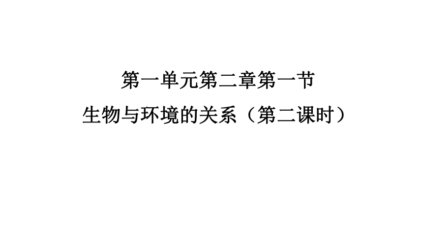 初中生物人教版七年级上册1.2.1生物与环境的关系（第二课时）课件(共20张PPT)