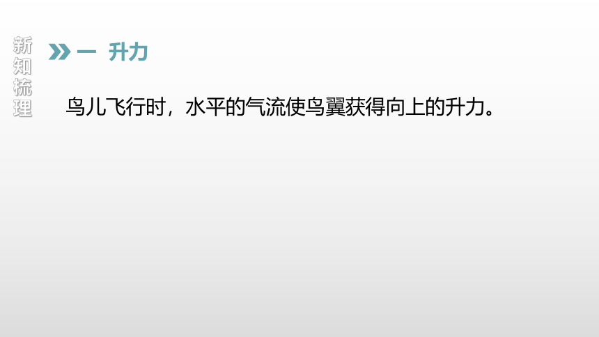 2020-2021学年教科版八年级物理下册同步导学课件17张：10.1.在流体中运动